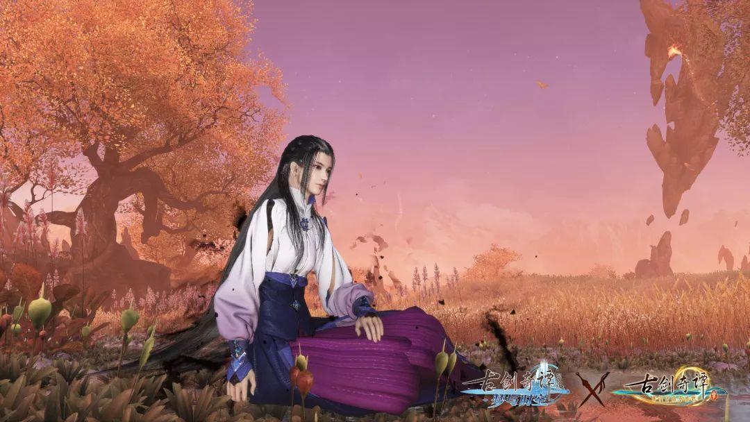 春雨直播app