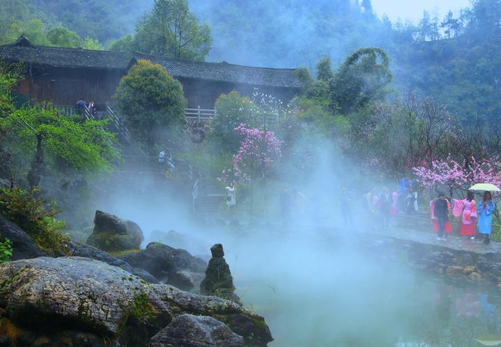 几月属狗最有福气