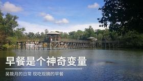 解救野生狐狸