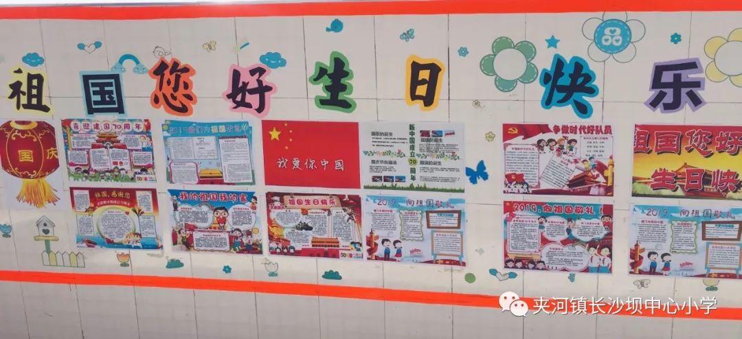 白莲花守则