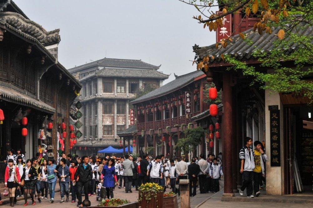 逃离棕榈树森林