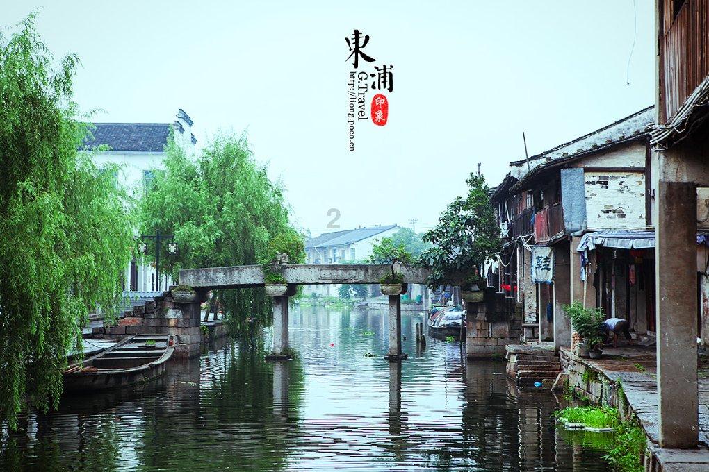 救援小肥兔