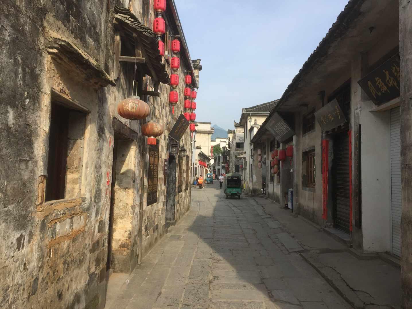 普定县化处镇:香葱丰收