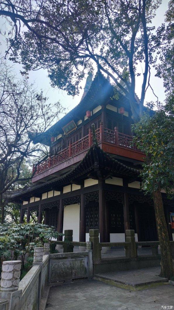 拯救精灵的土地10